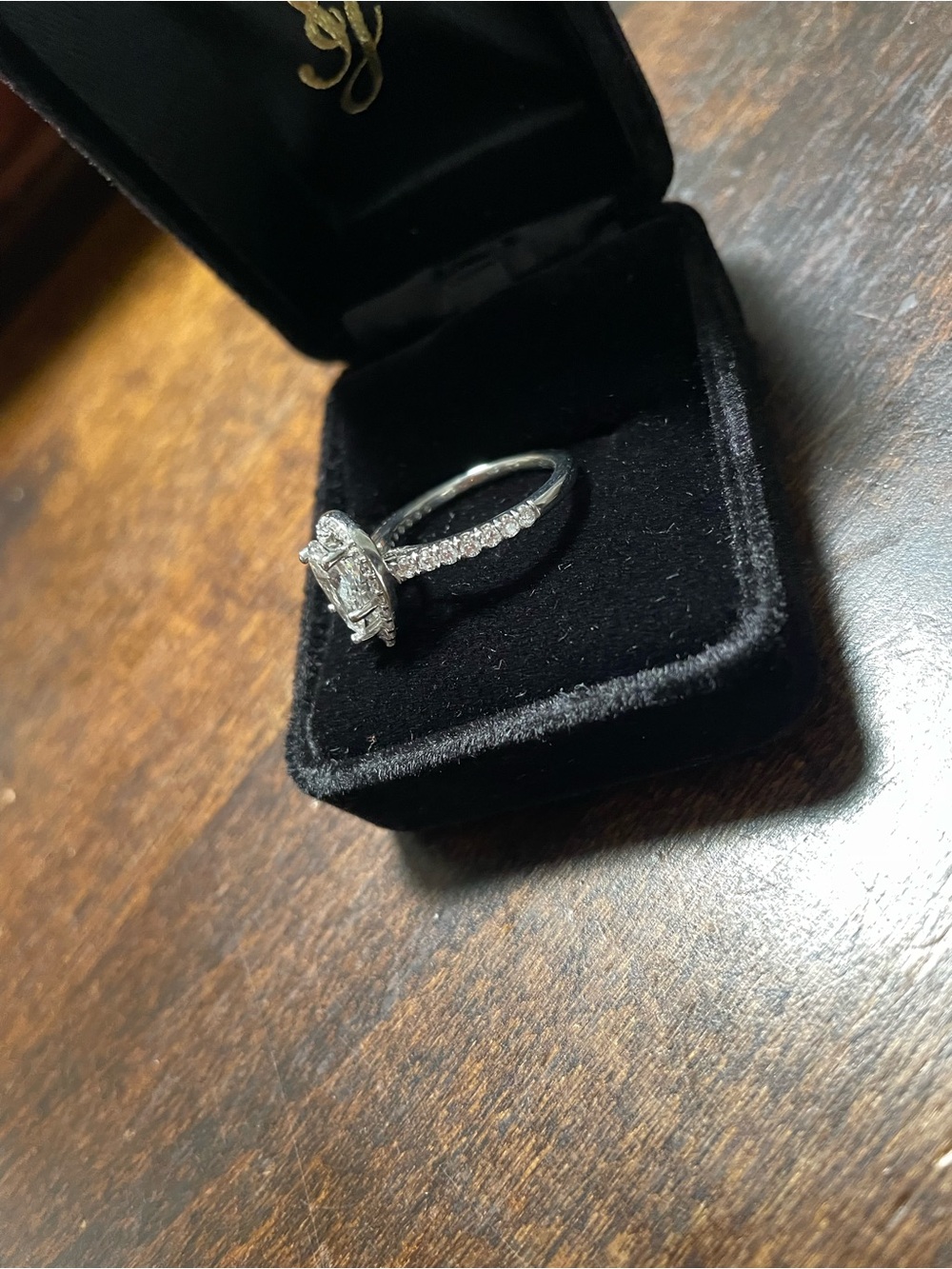 White Gold Halo Diamond Engagement Ring with Pave Band